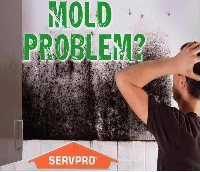 Mold Growth